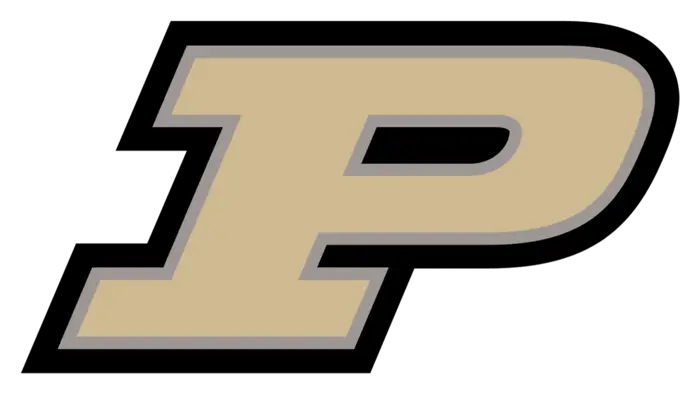 Purdue University Virtual Mentorship Session